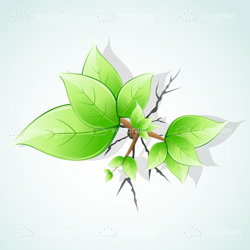 Green Leafy Plant